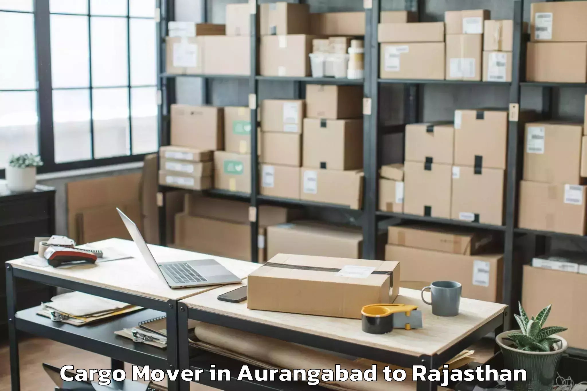 Top Aurangabad to Opjs University Churu Cargo Mover Available